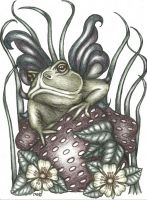 The Winged Strawberry Toad